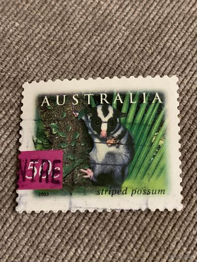 Австралия 2003. Млекопитающие. Striped possum. Марка из серии