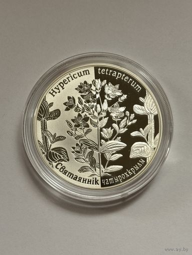 20 рублей Зверобой четырехкрылый Святаяннік чатырохкрылы 2013 Серебро Беларусь Ag925