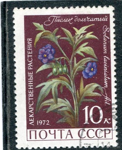 СССР 1972.. Флора. Паслен дольчатый