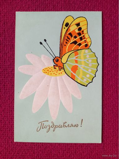 Поздравляю! Пинская типография. 1965 г. Двойная. Чистая.