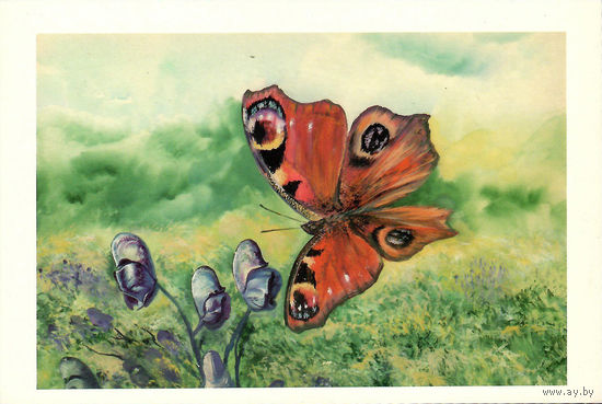 Открытка "Бабочка"