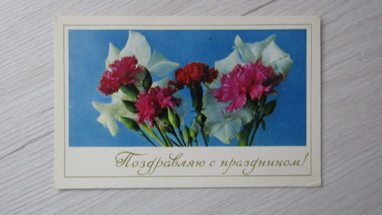 Открытка "Поздравляю с праздником!"
