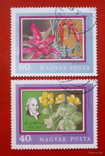 Венгрия. Цветы. ( 2 марки ).