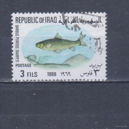 [1379] Ирак 1969. Фауна.Рыба.3 ф. Гашеная марка.