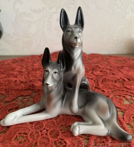 Собаки Вербилки