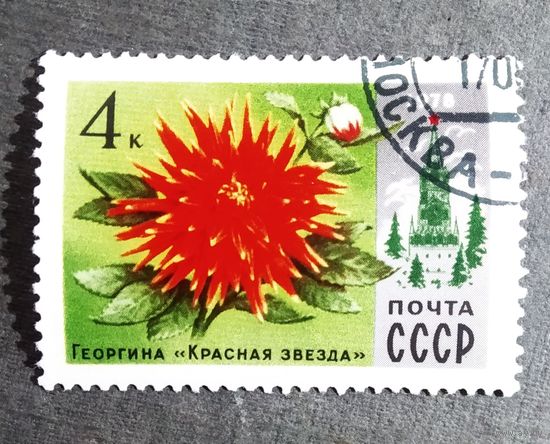 Марка СССР 1978 год Цветы