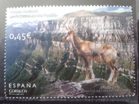 Испания 2010 Нац. парк, горы, козел