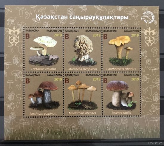 2019 Грибы