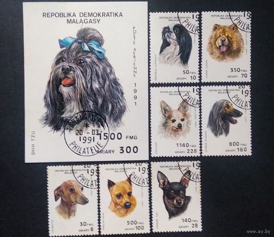 Фауна \93фа\МАДАГАСКАР 1991 ФАУНА СОБАКИ