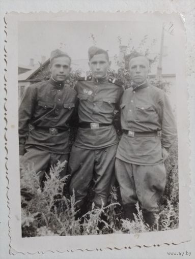 Фото в коллекцию