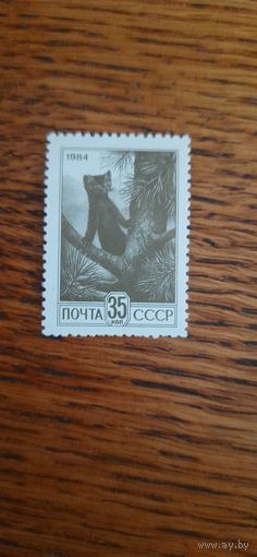 СССР. Стандарт. 1984г. чистая
