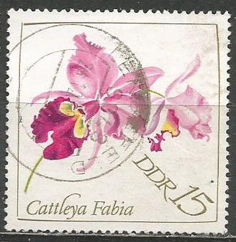 ГДР. Цветы. Орхидея Каттлея. 1968г. Mi#1422.