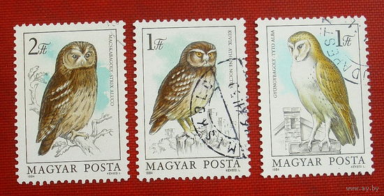 Венгрия. Совы. ( 3 марки ) 1984 года. 11-7.