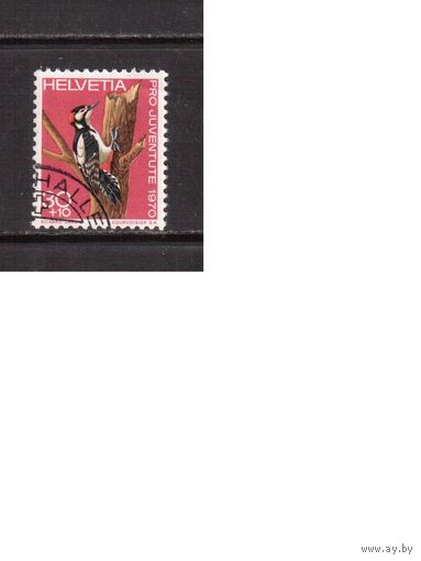 Швейцария-1970(Мих.938) ,  гаш.,  Фауна, Птицы