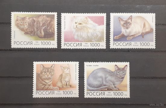 Россия. 1996 год. Фауна. Кошки (серия 5 марок, чистые)