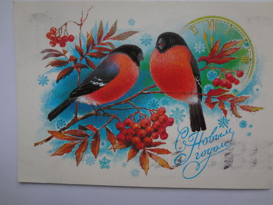 С Новым годом!  1984 г.  Снегири, рябина, часы.  подписанная.