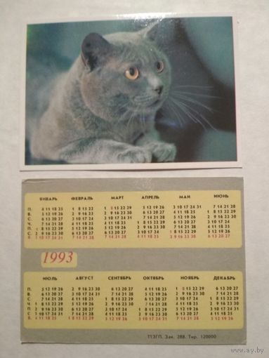 Карманный календарик. Котик. 1993 год