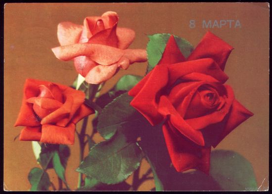 1989 год Б.Круцко 8 марта 2