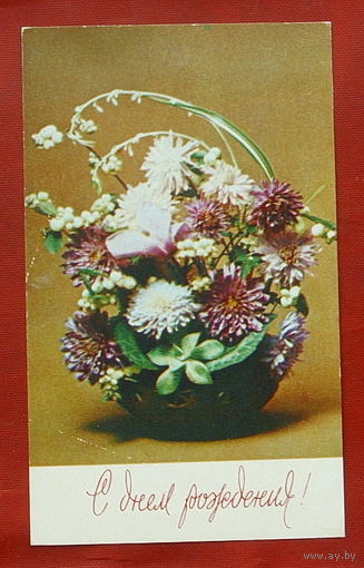С днём рождения! Чистая. 1977 года. Фото Стейнерта. 561.