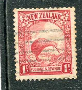 Новая Зеландия. Стандарт. Фауна. Киви