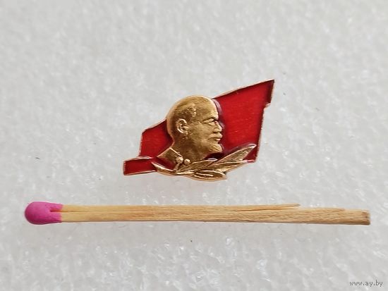 Знак-фрачник. В. И. Ленин, флаг, лавр