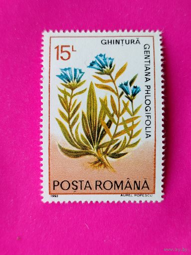 Румыния. Цветы. ( 1 марка ) 1993 года. 5-9.