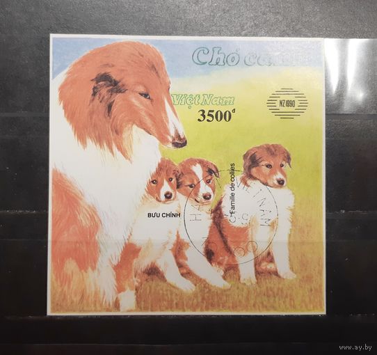 Вьетнам. 1990 год. Фауна. Собаки. Блок беззубцовка (611)