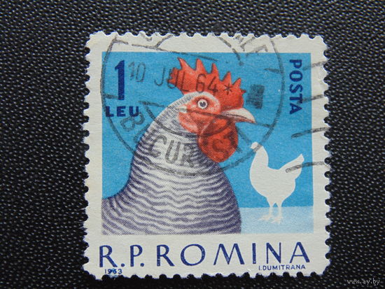 Румыния 1963 г. Курица породы плимутрок.
