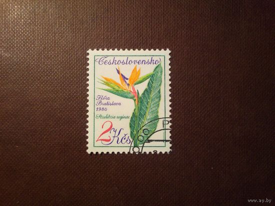 Чехославакия  1980 г.Стрелиция королевская./6а/