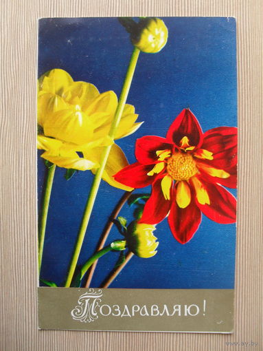 ДВОЙНАЯ ЧИСТАЯ ОТКРЫТКА.СССР. 1972 год. ПОЗДРАВЛЯЮ. фото. П. СМОЛЯКОВА.