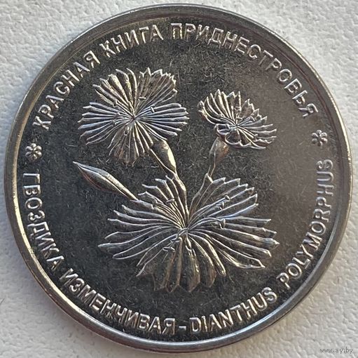 Приднестровье 1 рубль 2025 г. Красная книга. Гвоздика изменчивая