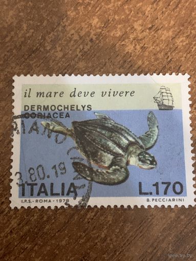 Италия 1979. Черепахи. Dermochelys Coracea. Марка из серии