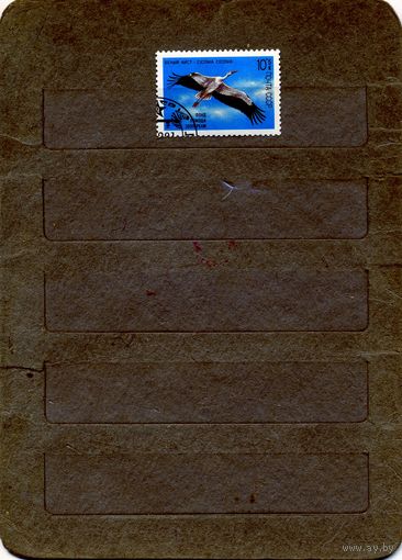 СССР, 1991, фауна гашен