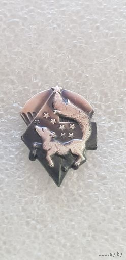 Фрачник 5 бригада спецназа ССО Беларусь