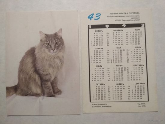 Карманный календарик. Котик.1993 год