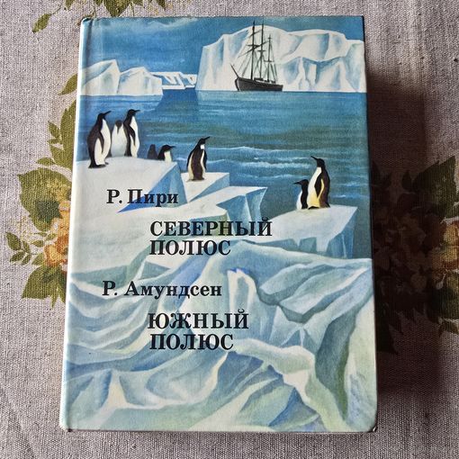Северный полюс Южный полюс