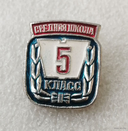 5 класс. Средняя школа. Школьный значок #0537-UP14