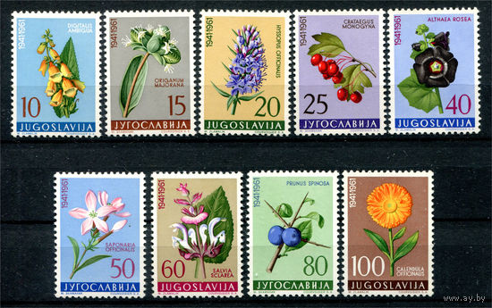 Югославия - 1961г. - Цветы - полная серия, MNH с отпечатками, одна марка с потрескавшимся клеем [Mi 943-951] - 9 марок