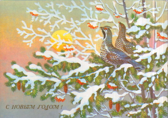Чистая открытка 1988г. "С Новым годом! Рябчики" худ. В. Базаров