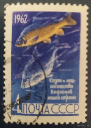 СССР 1962 рыбы 1 из 2.