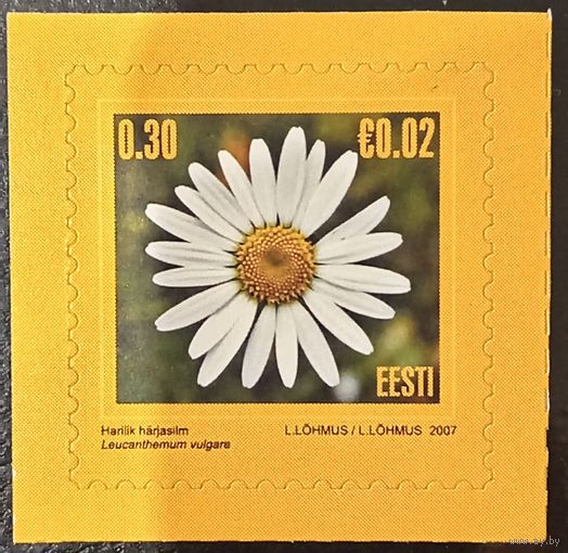Эстония 2007. Флора. Цветы. Ромашка