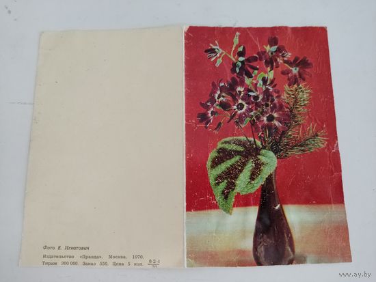 Двойная открытка  с фото Е.Игнатовича, 1970г.