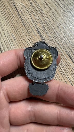 Знак "100 лет со дня рождения В.Ф. Маргелова" (самолёт - с серебрением)