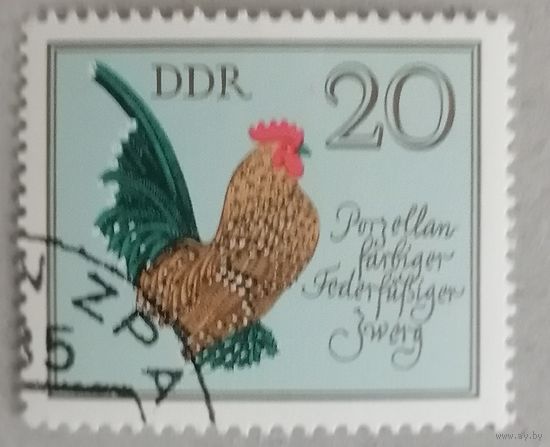 Немецкие куры.