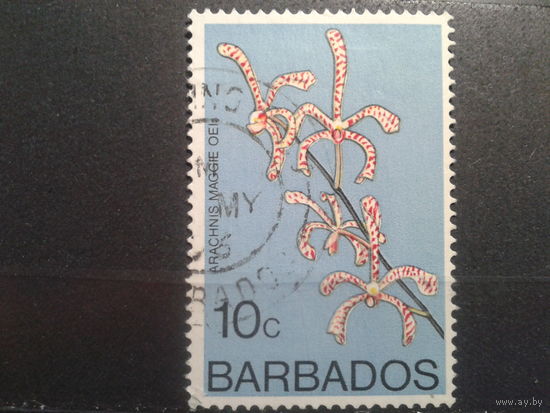 Барбадос, 1974/1977
