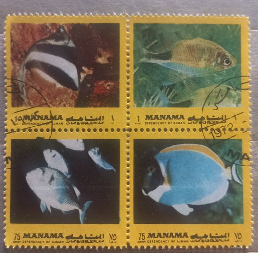 Манама. 1972г. Фауна. Рыбы.