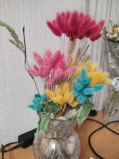 Сухоцветы -зайчий хвостик