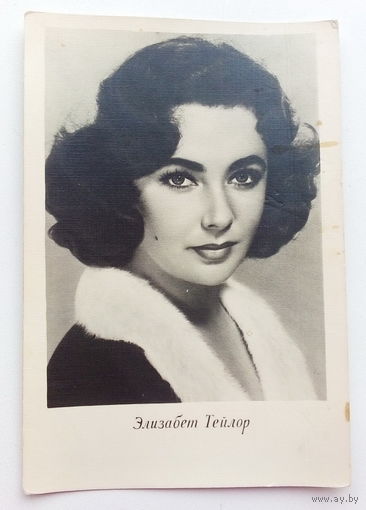 Артисты. Элизабет Тейлор. 429.