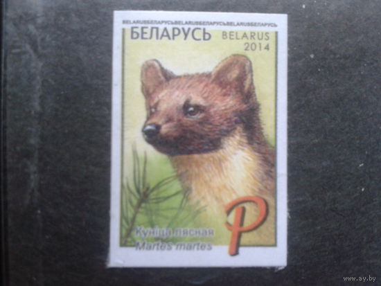 2014 Куница**