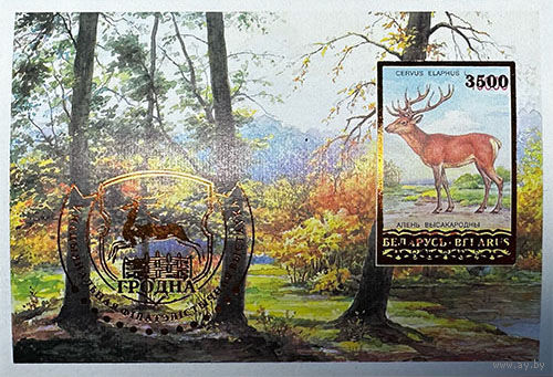 Разновидность почтовой марки "V Национальная филателистическая выставка "Белфила-2006"